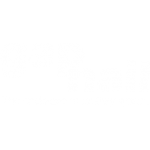 The GAP NailTM Endo-Exo Medullary System