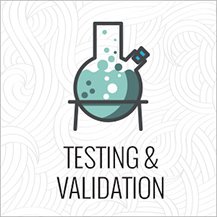 Testing & Validation