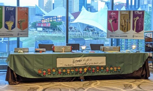 BALTIMORE LIMB DEFORMITY COURSE 2021