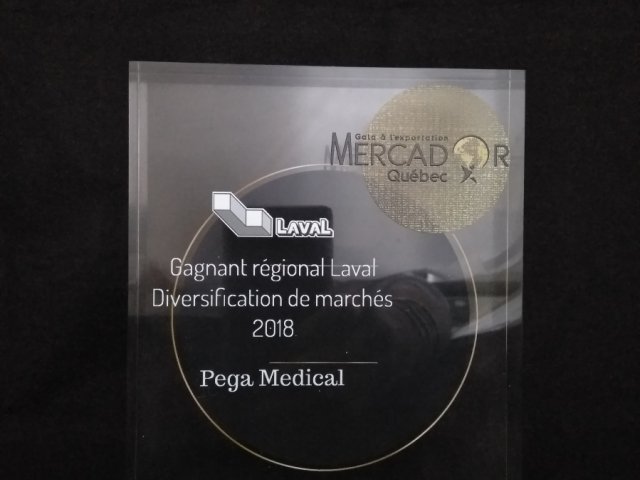 Pega Medical