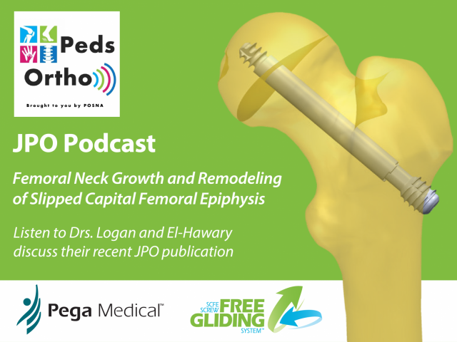 Pega Medical
